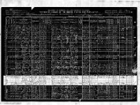 Eullaine Camp 1910 Census Nevada Nye Berlin District 0053